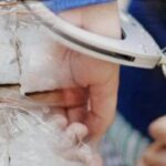 WhatsApp Image 2025-11-27 at 10.24.49